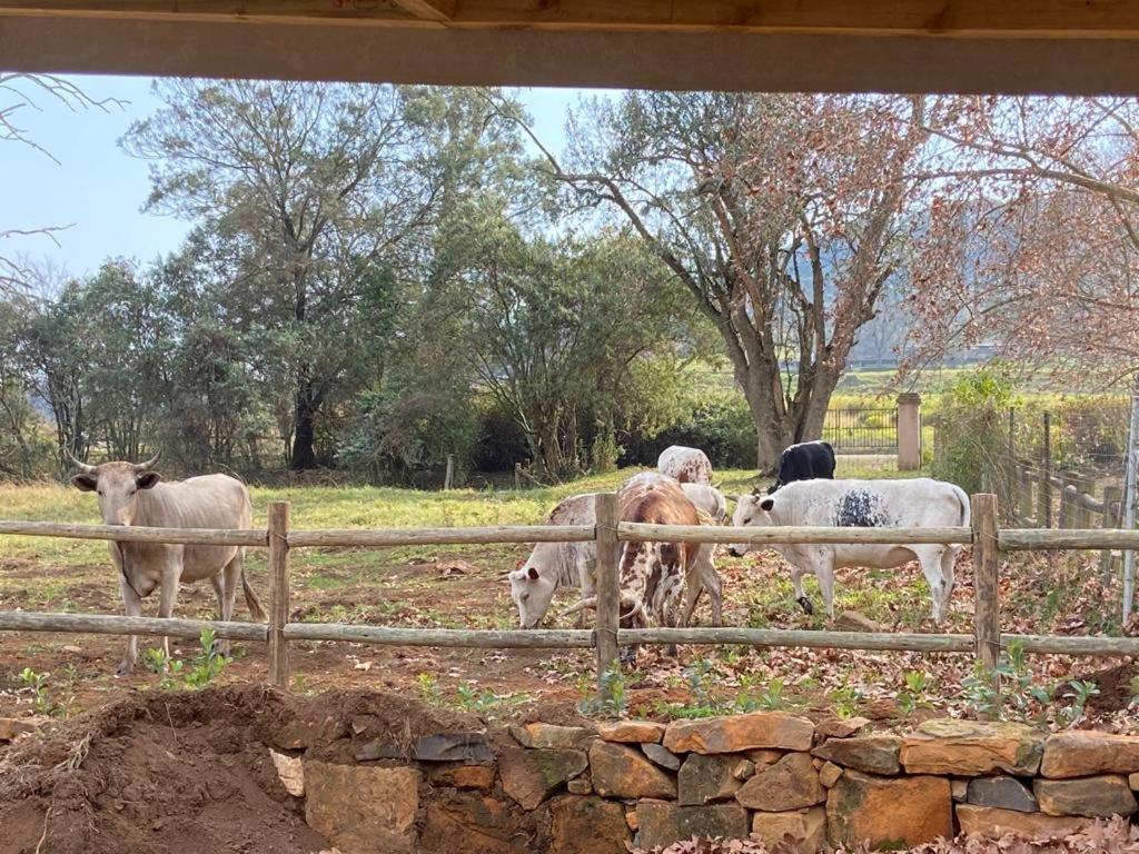 Yellowwoods Farm - Willoughbys Cottage And Old Stables Cottage Curryʼs Post Екстериор снимка